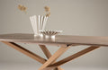 Piana Rectangular Dining Table - The Outlet Home