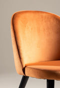 Velvet Matstol Dining Chair 2 pack - The Outlet Home
