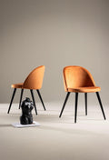 Velvet Matstol Dining Chair 2 pack - The Outlet Home